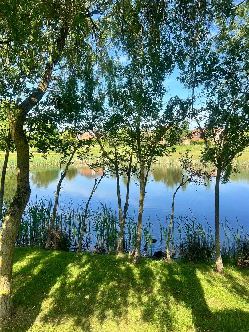 Rear Garden View
